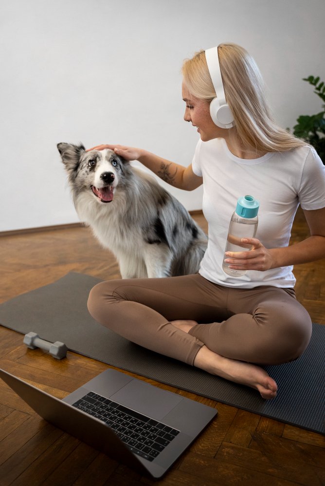 Dog Exercise and Fitness Programs​